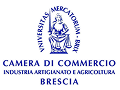 imgi_49_logo-camera-commercio-brescia 1